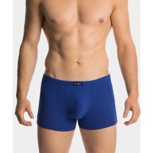 Шорты мужские MH-163 Голубой Atlantic