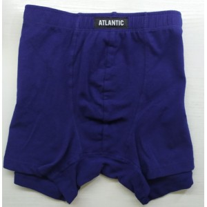 Шорты мужские SMH5-002-01 Кобальтовый Atlantic