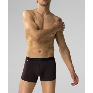 Шорты мужские SMH5-004 Коричневый Atlantic