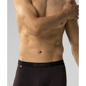 Шорты мужские SMH5-004 Коричневый Atlantic