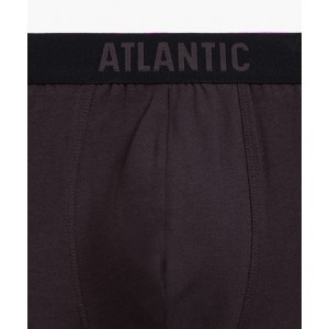 Шорты мужские SMH5-004 Коричневый Atlantic