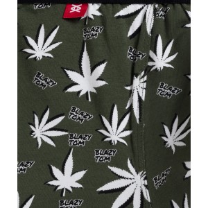 Шорты мужские MH-183 Хаки Atlantic