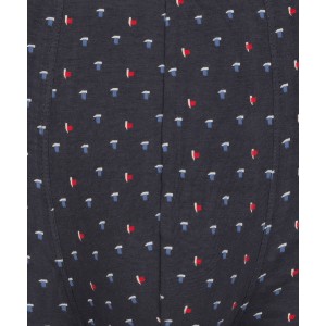 Шорты мужские MH-169 Графитовый Atlantic