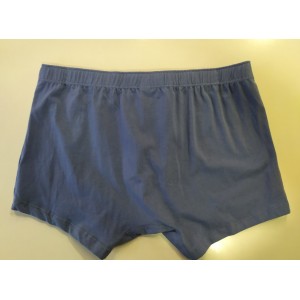 Шорты мужские MH-193 Голубой Atlantic