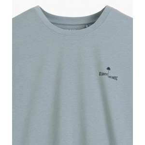 Пижама мужская футболка/шорты NMP-399 Разные цвета Atlantic