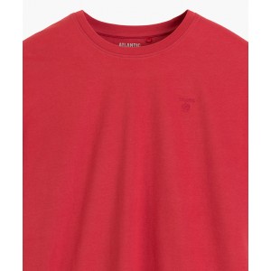 Пижама мужская футболка/шорты NMP-400 Разные цвета Atlantic