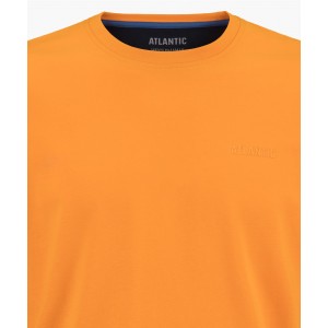 Футболка мужская короткий рукав NMT-034 Оранжевый Atlantic