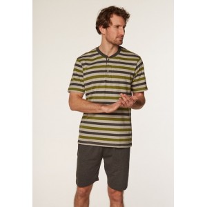 Пижама мужская футболка/шорты SAM-PY-142 Серый Rossli